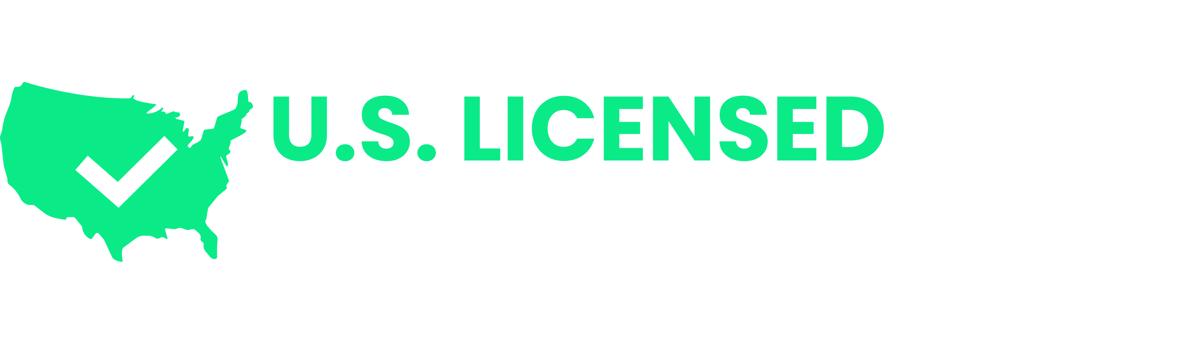 US Licensed badge